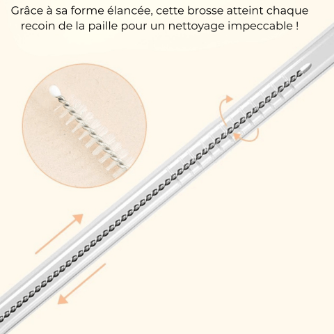 brosse de nettoyage de paille