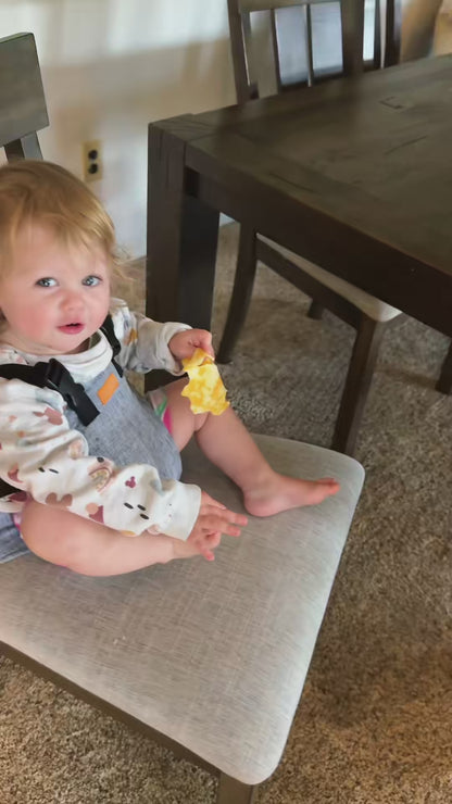 Chaise haute bébé- Harnais portable- SmartSeat Infinity™ | Nomade